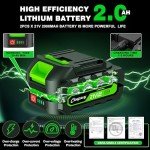 Portable Cordless Mini Chainsaw with 2 Batteries