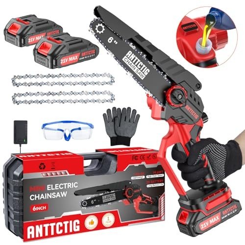 Anttctig