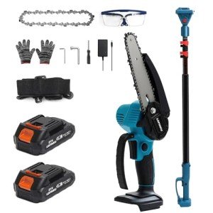Cordless 2-in-1 Pole Saw & Mini Chainsaw
