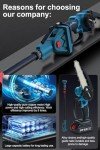 Cordless 2-in-1 Pole Saw & Mini Chainsaw