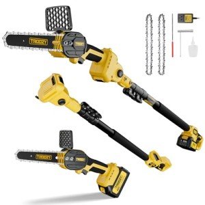 Cordless 2-in-1 Pole Saw and Mini Chainsaw