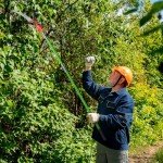 Outvita 26ft Manual Pole Saw and Pruner