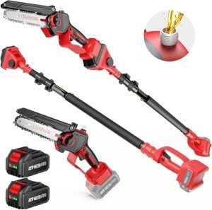 Cordless 2-in-1 Pole Saw and Mini Chainsaw