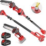 Cordless 2-in-1 Pole Saw and Mini Chainsaw
