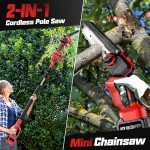 Cordless 2-in-1 Pole Saw and Mini Chainsaw