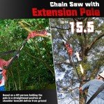 Cordless 2-in-1 Pole Saw and Mini Chainsaw