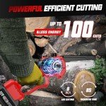 Cordless 2-in-1 Pole Saw and Mini Chainsaw