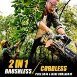 Cordless 2-in-1 Pole Saw and Chainsaw Combo