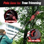 Cordless 2-in-1 Pole Saw and Mini Chainsaw