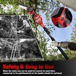 Cordless 2-in-1 Pole Saw and Mini Chainsaw