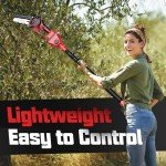 Cordless 2-in-1 Pole Saw and Mini Chainsaw