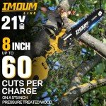 Cordless 2-in-1 Pole Saw and Chainsaw Combo