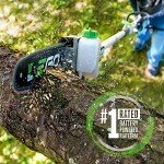 EGO Power+ 10-Inch Pole Saw Attachment
