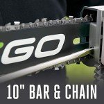 EGO Power+ 10-Inch Pole Saw Attachment