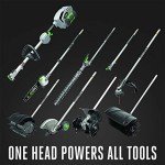 EGO Power+ 10-Inch Pole Saw Attachment