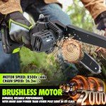 V-MODEST Cordless 2-in-1 Pole Saw Kit