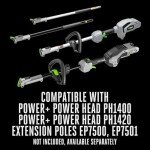 EGO 10-Inch Carbon Fiber Pole Saw Attachment