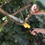 Bates 7-Inch Folding Hand Saw for Camping
