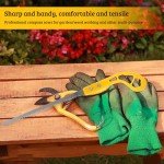 Hand Saw for Trees and Branches Cutting