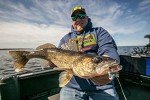 Tungsten Jig for Walleye, Bass, & Panfish