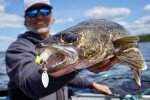 Northland Deep-Vee Spin Jig - Firetiger 3/8 Oz