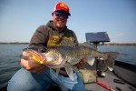 Northland Gum-Ball Jigs for Panfish and More