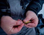 Northland UV Buck-Shot Rattle Spoon - 3 Pack