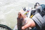 Northland Tackle Walleye Fishing Cabin Kit - 10 Pieces
