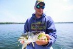 Northland Tackle Eye Candy 3.5" Fishing Lures - 5 Pack