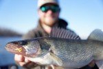 Northland Freshwater Tungsten Fishing Jigs - Bubblegum