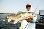 Northland Tackle Eye Candy 3.5" Soft Plastic Minnow