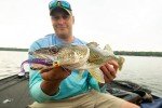 Northland Tackle Eye Candy 3.5" Soft Plastic Minnow