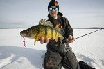 Northland Tackle Buck-Shot Ice Fishing Spoon - Wonderbread