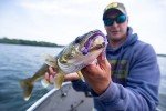 3" Soft Plastic Walleye Fishing Lure - Smoke Shad