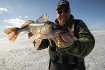 Northland Bro Bug Ice Fishing Spoon, 1/16 Oz