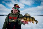 Northland Fishing Tungsten Bloodworm Jigs for Ice Fishing