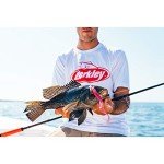 Berkley 6'6" Lightning Rod - Medium Light Spinning