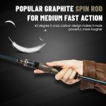 8ft Graphite Bass Fishing Rod - 2 Piece