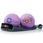 Jill Miller's Deep Purple Yoga Therapy Balls