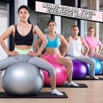 Jerify 65cm Yoga and Fitness Exercise Balls