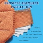 100 Pack of Comfortable KN95 Face Masks for Adults