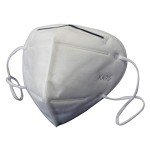 Arcnode KN95 Protective Face Mask - 1000 Pack