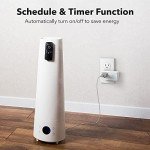 BN-LINK Smart WiFi Plug Outlet with Timer (2-Pack)