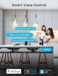 Govee Smart Plug with Alexa & Google Assistant