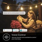 Kasa Outdoor Smart Plug with Timer & Alexa Compatibility