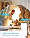 Smart Outdoor WiFi Plug with 3 Ground Outlets