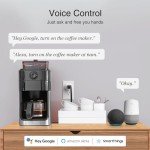 Smart WiFi Plug for Alexa & Google Home