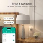 Smart WiFi Plug for Alexa & Google Home
