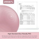 APEXUP Pink Exercise Ball, Size M (55cm)