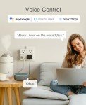 Smart Plug Outlet Extender with Remote Control (2 Pack)